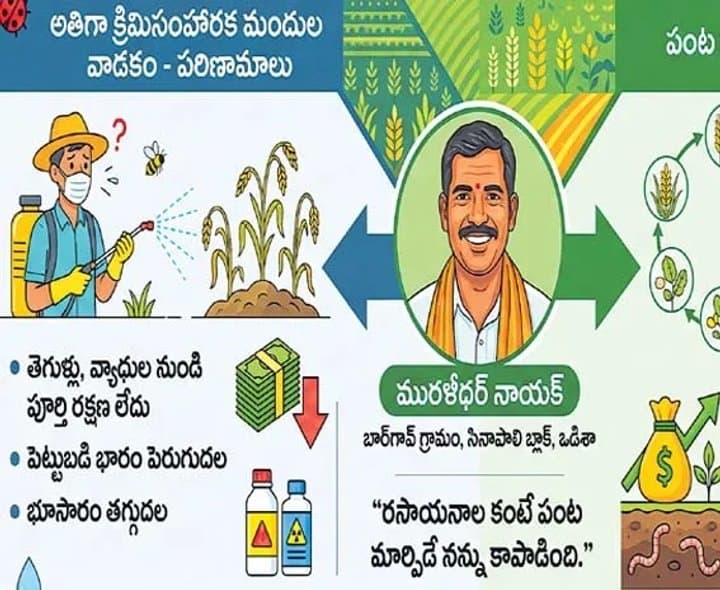పంట మార్పిడితో తెగుళ్లకు చెక్‌ - Udayam
