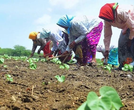 వ్యవసాయంలో మహిళా హక్కులు - Udayam