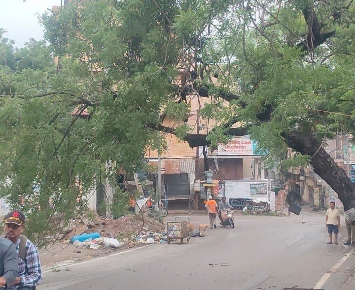 ఉప్పల్‌లో కూలిన భారీ చెట్టు.. రాకపోకలకు అంతరాయం. - Udayam Digital