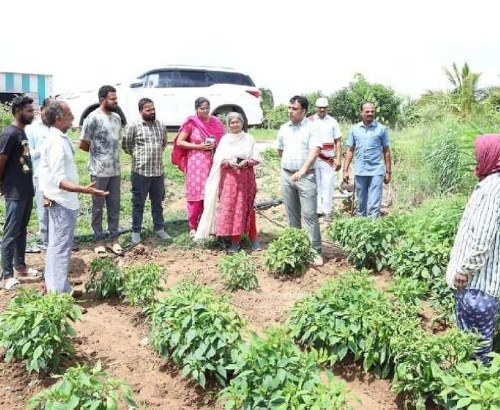 ప్రకృతి వ్యవసాయంపై కలెక్టర్‌ సూచనలు