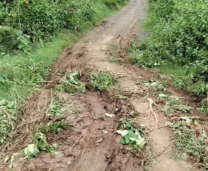 చెరుకుపల్లికి రోడ్డు వెయ్యండయ్యా - Udayam