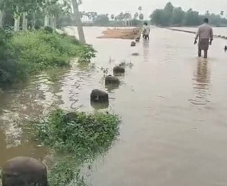 దొడ్డదేవరపాడులో వంతెనపైకి భారీగా వరద నీరు - Udayam