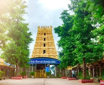 శ్రీశైలంలో ఏడో రోజు శరన్నవరాత్రి వేడుకలు