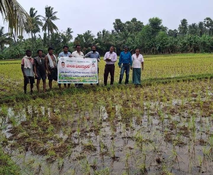 పంటల సాగుపై అధికారుల సూచనలు