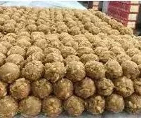రికార్డు స్థాయిలో శ్రీవారి లడ్డూ ప్రసాదం విక్రయాలు