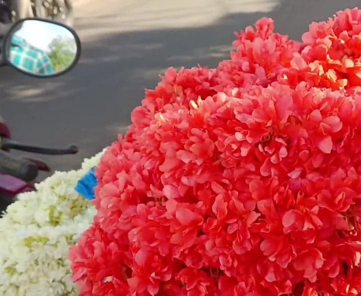 దసరా వేళ భారీగా పెరిగిన పూల ధరలు - Udayam