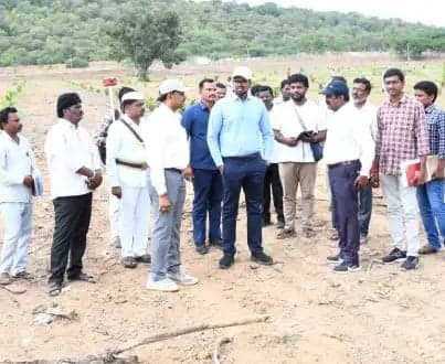 భూ రీసర్వే గడువులోగా పూర్తి చేయాలి: కలెక్టర్