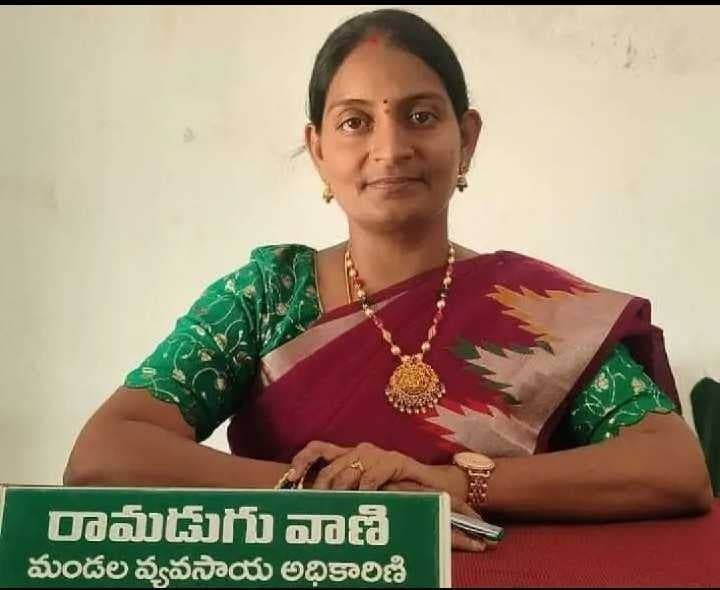 నేలకొరిగిన వరి పంటపై ఏవో వాణి సూచనలు - Udayam