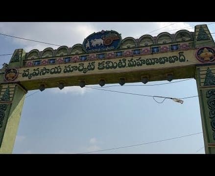 రికార్డు ధర పలికిన మక్కలు - Udayam