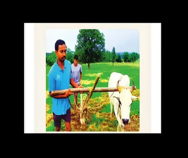 కాడెద్దుగా రైతు దుక్కి