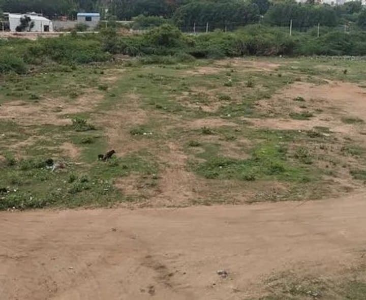 భూమి వివాదంపై ఎస్పీకి బాధితురాలి ఫిర్యాదు