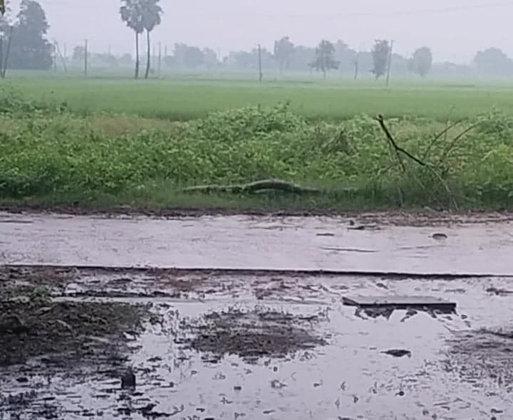 ఓదెలలో పలు గ్రామాల్లో మోస్తరు వర్షం - Udayam