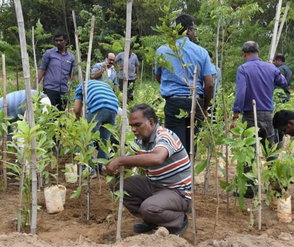 ఒక్కరోజులో 35కోట్ల మొక్కలు