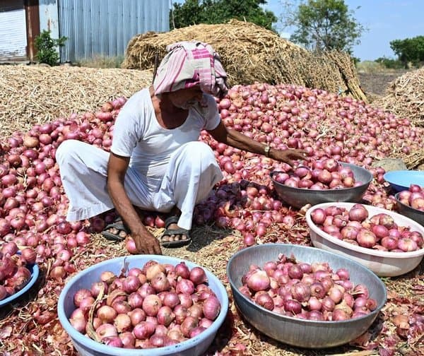 ఉల్లి రైతులకు కేంద్రం బంపర్ ఆఫర్