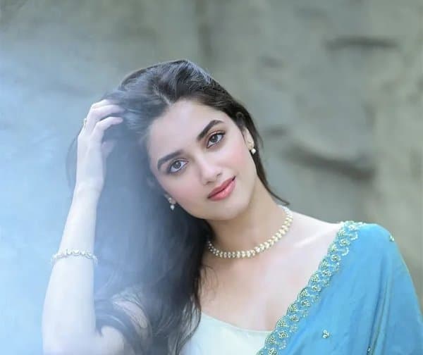 భాగ్యశ్రీ బోర్సే: నటిగా సరికొత్త ప్రయాణం