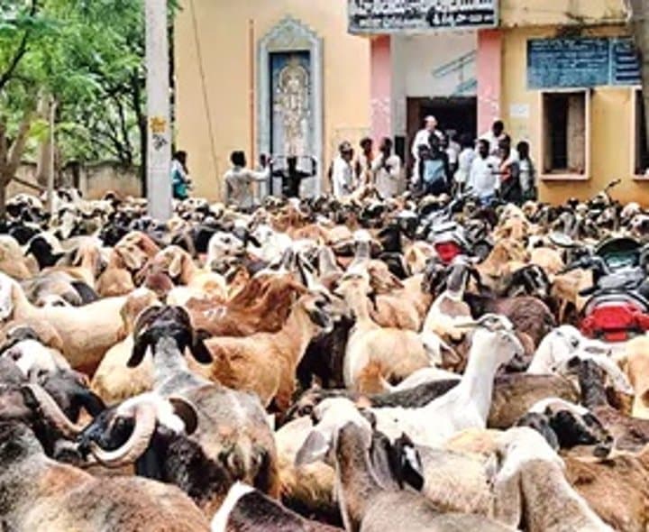 తమ్మడేపల్లి చెరువు ఆక్రమణపై గొర్రెల కాపర్ల నిరసన