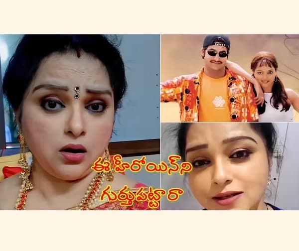 ఎన్టీఆర్ హీరోయిన్ సోనాలి జోషి లేటెస్ట్ లుక్ వైరల్! - Udayam Digital