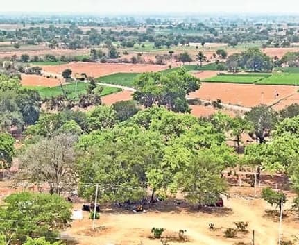 దేవాలయాల భూములు అన్యాక్రాంతం