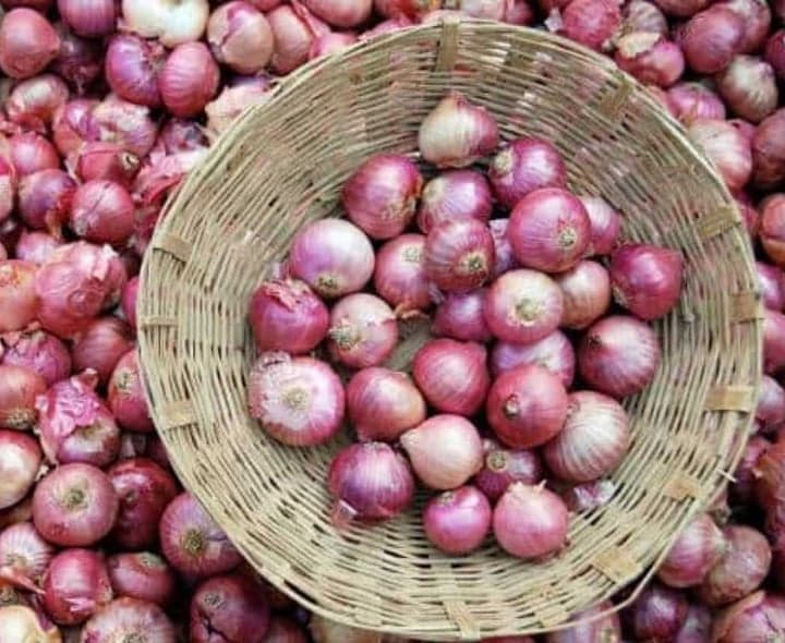 పల్నాడులో ఉల్లి ధర కిలో రూ.70 - Udayam