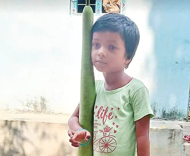 నాలుగు అడుగుల సొరకాయ.. ఆశ్చర్యపరుస్తున్న వైనం - Udayam