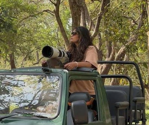 సోమశిలలో సఫారీ సందడి