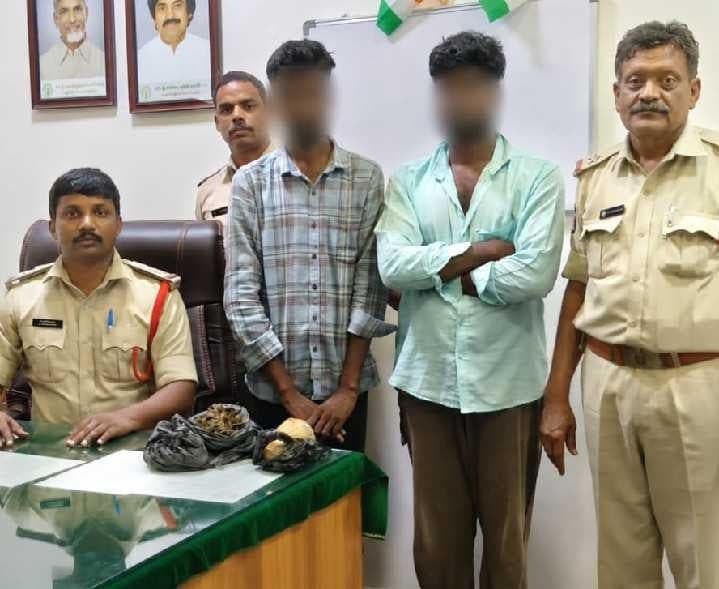 మురుకంబట్టులో 600 గ్రాముల గంజాయి పట్టివేత - Udayam