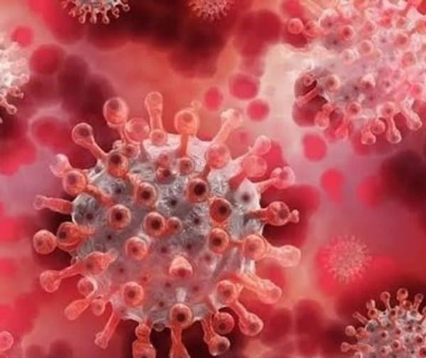 ఆంధ్రప్రదేశ్‌లో కోవిడ్ అలెర్ట్.