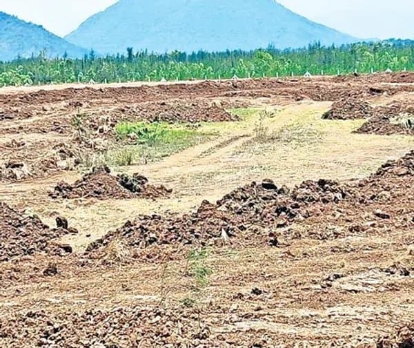 బుచ్చెయ్యపేటలో అక్రమ మట్టి దందా
