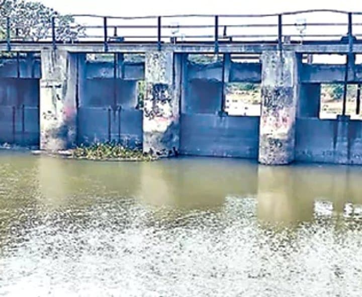 వరి సాగు వద్దు.. ఆరుతడి పంటలే మేలు