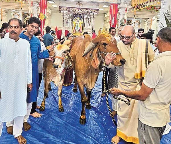అమెరికాలో శతచండీ రుద్ర యాగం