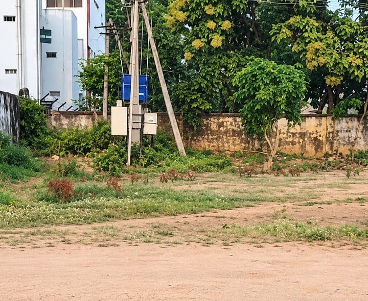 హుజురాబాద్‌లో కోతుల బెడద.. భయాందోళన - Udayam