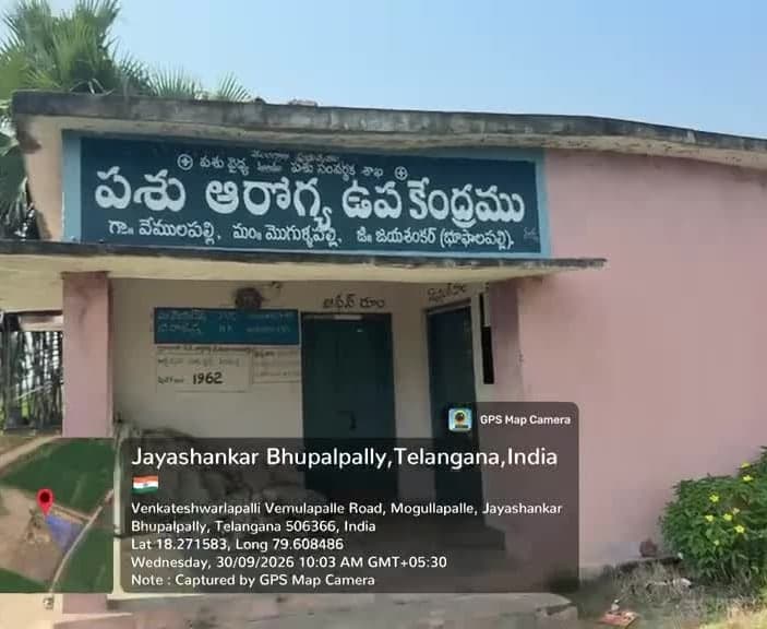 వేములపల్లిలో పశువైద్యుడి కొరత - Udayam