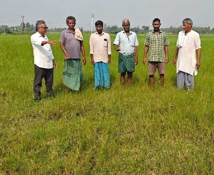 రైతులకు కరువు ప్యాకేజీ ప్రకటించాలని డిమాండ్ - Udayam