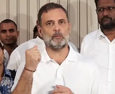 ప్రజాస్వామ్యంపై రాహుల్ పోరాటం