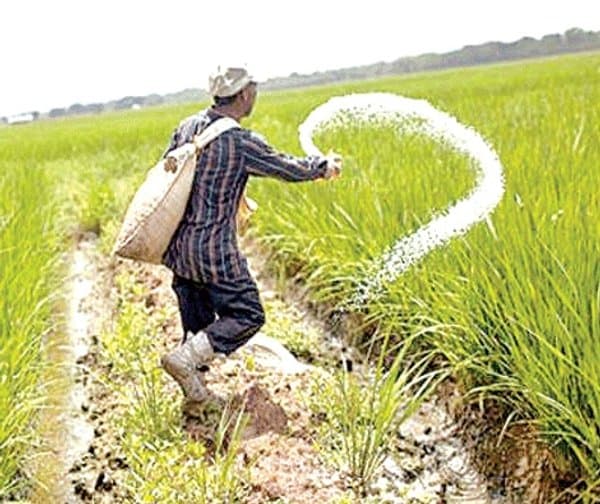 ఎరువుల ధరల పెంపు: రైతుపై అదనపు భారం - Udayam Digital