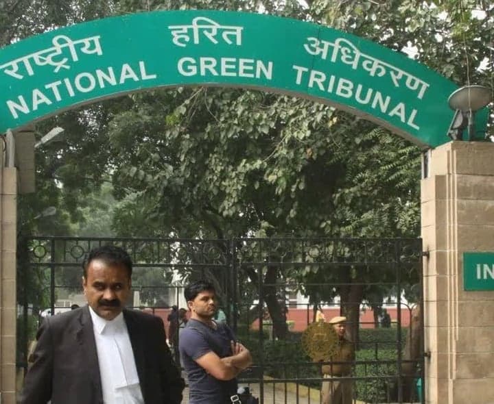 నేలలో సీసం కాలుష్యంపై NGT ఆగ్రహం