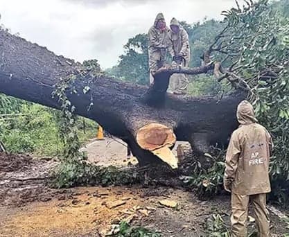 తుపాను ప్రభావిత జిల్లాల్లో రెండు రోజులు కేంద్ర బృందం పర్యటన