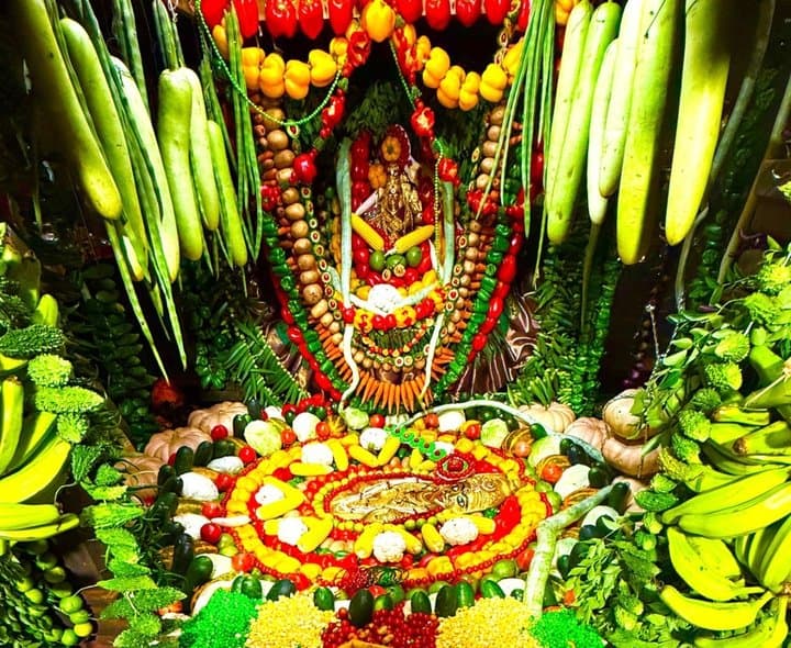 శాకాంబరీ అలంకారంలో బల్కంపేట ఎల్లమ్మ - Udayam Digital