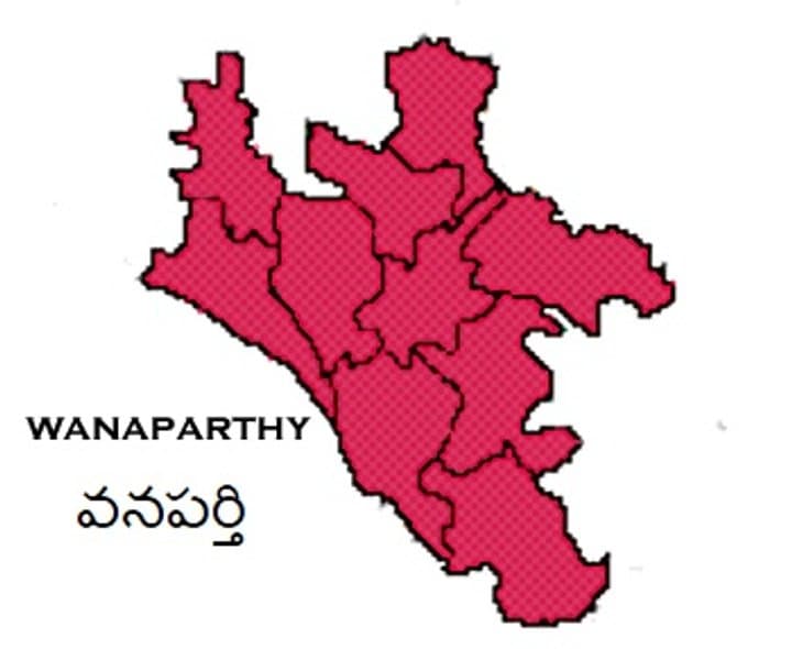 వనపర్తి ప్రజావాణికి రెండు దరఖాస్తులు