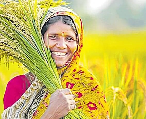 మహిళా అగ్రి స్టార్టప్‌లతో ఉపాధి