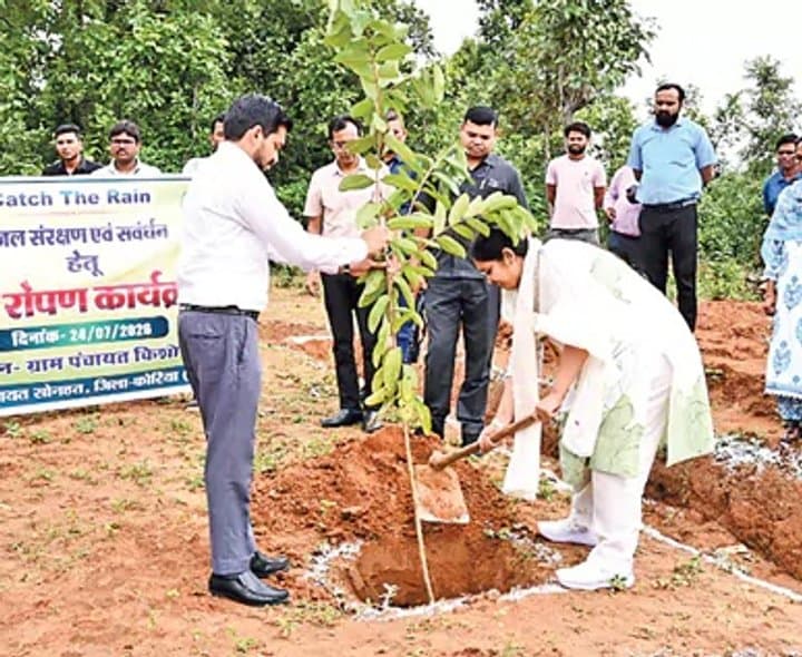 పండ్ల మొక్కలకు ప్రత్యేక రక్ష
