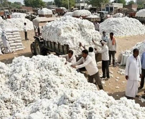 21 నుంచి పత్తి కొనుగోళ్లు 