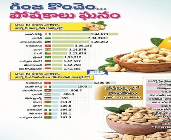 జీడిపప్పు చిన్న గింజే.. పోషకాలు మాత్రం పుష్కలం