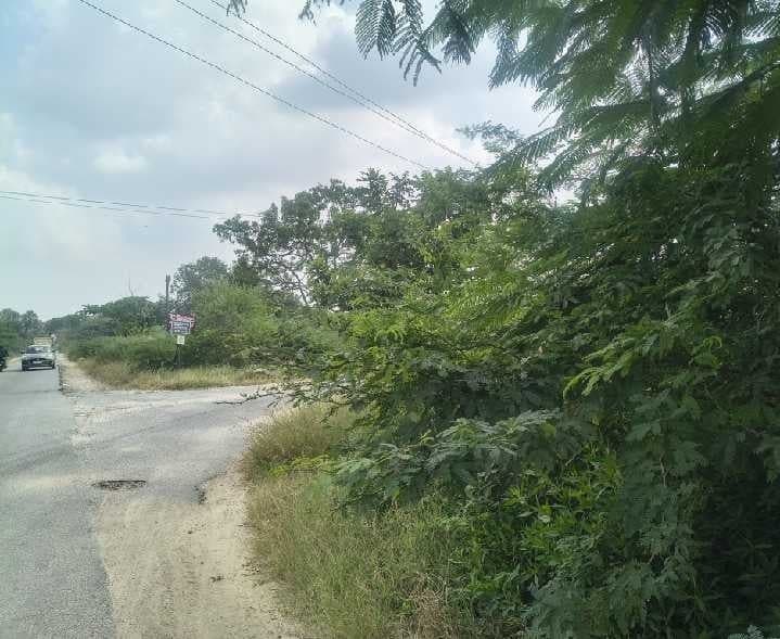 రఘునాథపల్లిలో ప్రమాదకరంగా మూలమలుపు - Udayam