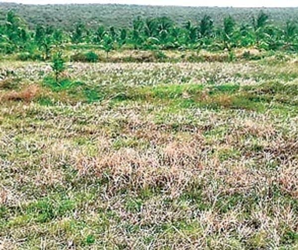 వైకాపా నేత రూ.4 కోట్ల భూదందా