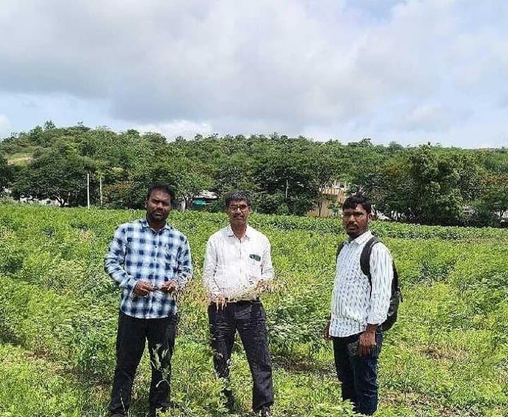 సింగారంలో పంటలను పరిశీలించిన వ్యవసాయ అధికారులు