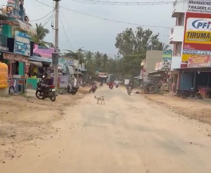 కుప్పం-మల్లనూరు రోడ్డు అధ్వానం - Udayam