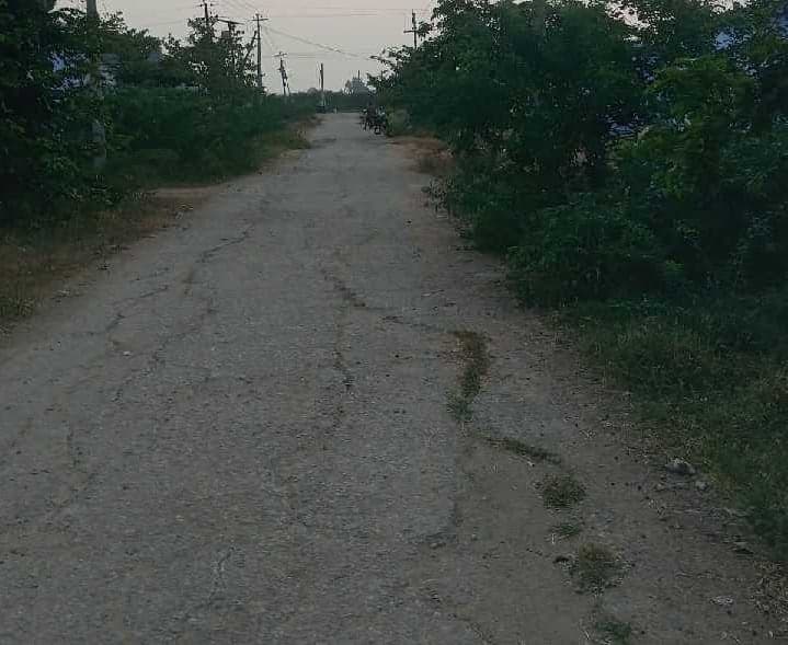 ముళ్లపొదలతో కస్తూర్బా పాఠశాల దారిలో ఇక్కట్లు - Udayam