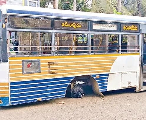 రాజమహేంద్రవరం ఆర్టీసీ బస్సులో తప్పిన ప్రమాదం