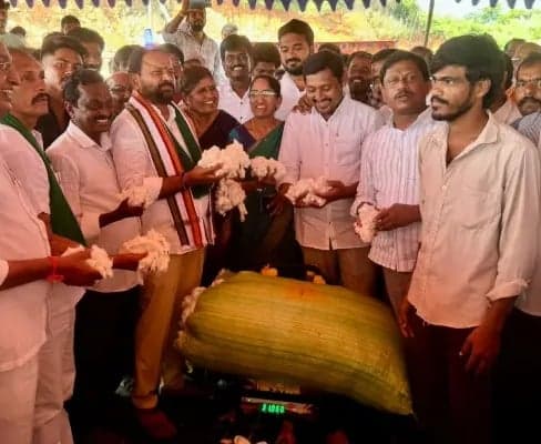 జూలూరుపాడులో తాత్కాలిక పత్తి యార్డు
